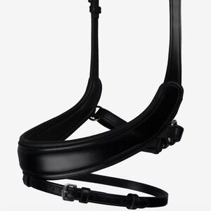 PS of Sweden Paladin noseband Cob